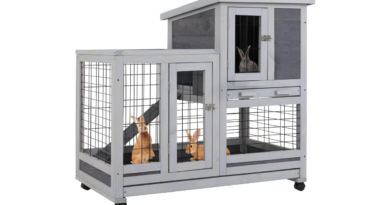 rabbit hutch