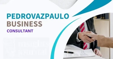 Pedrovazpaulo business consultant